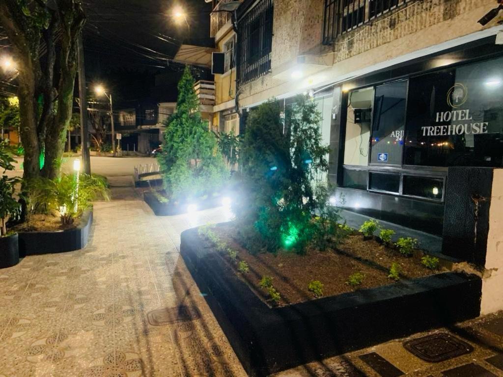 Hotel Tree House 麦德林 外观 照片