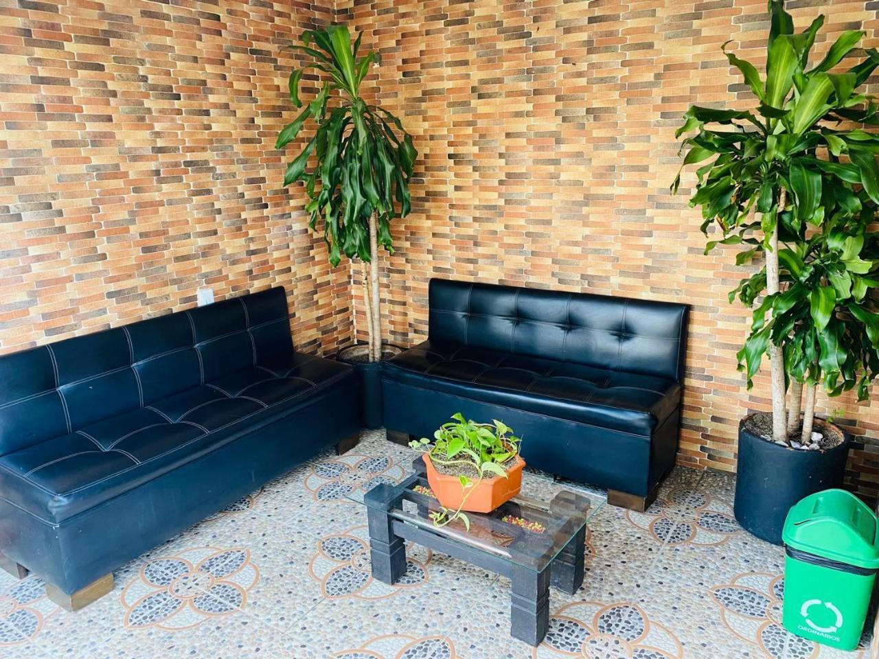 Hotel Tree House 麦德林 外观 照片